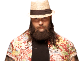 *Bray Wyatt2*